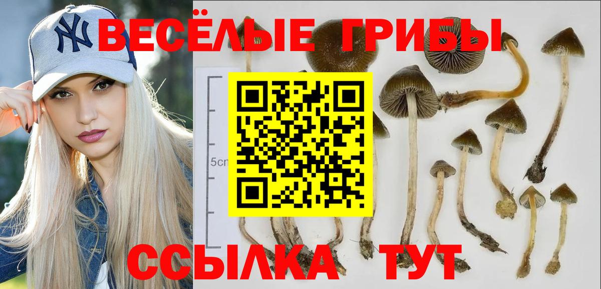 Псилоцибиновые грибы MAGIC MUSHROOMS Магадан