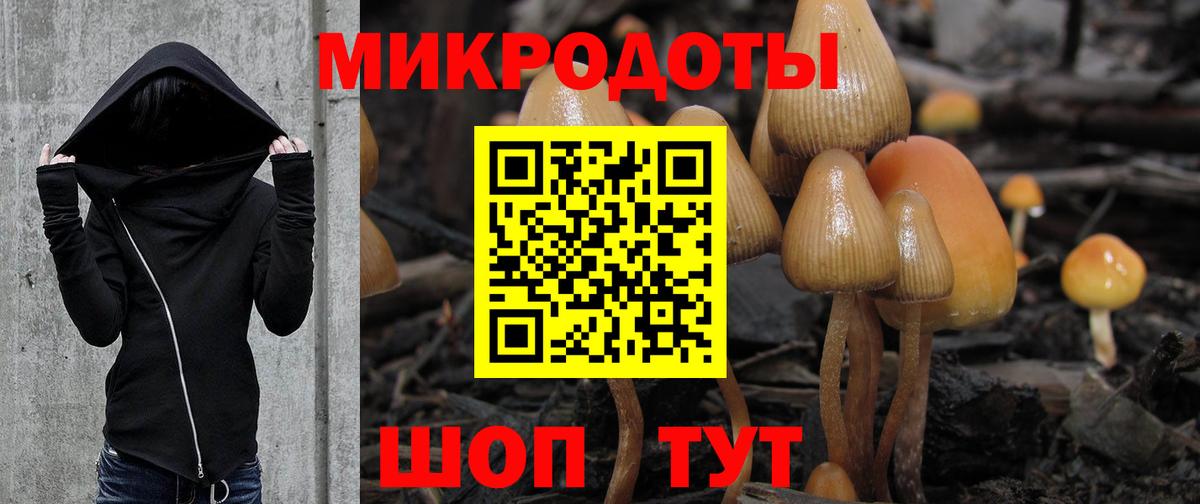 Магадан  где купить наркоту  Вход с VPN  Псилоцибиновые грибы MAGIC MUSHROOMS  Галлюциногенные грибы ЛСД 